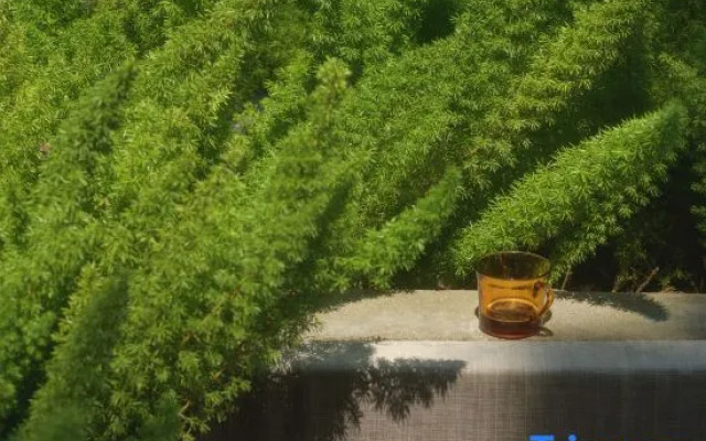 Soul Touch Hotel (The Consulate-General of German in Gulangyu)