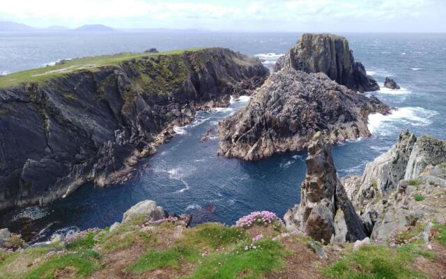 Madra Rua Organic Accommodation