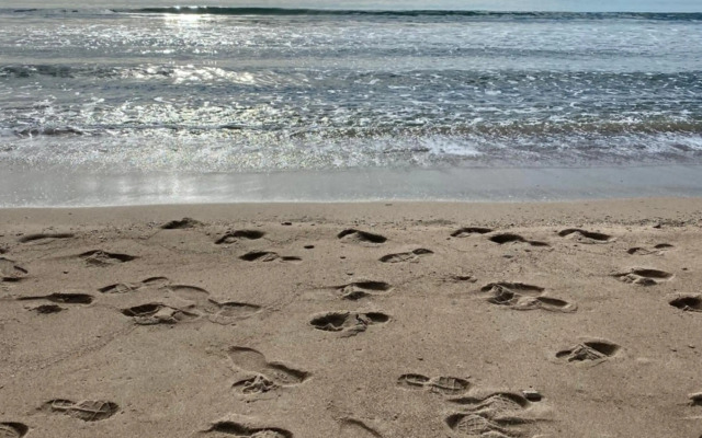 Roses Apartments Tropical Loft vista mar lateral