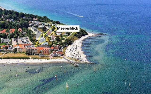 Meeresblick-Pelikan-H-2-WE-21