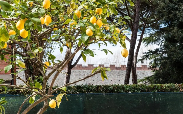 Lemon House YELLOW