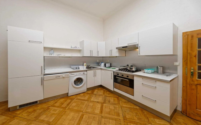 Apartment Manesova 4