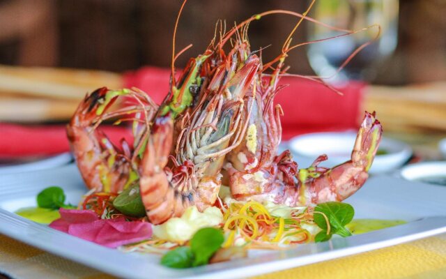 Camellia Resort and Spa