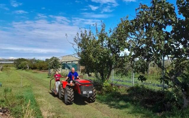 Agriturismo Il Cipresso