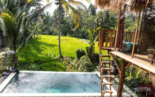 Bali Bamboo Jungle Huts And Hostel.