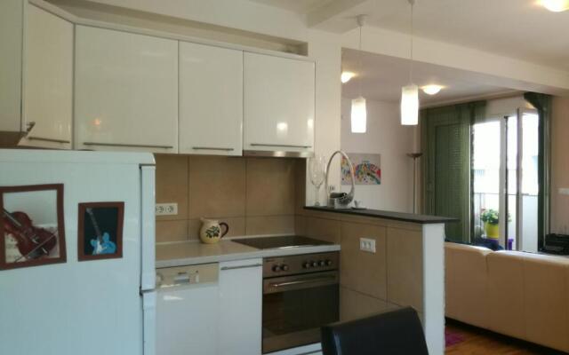 Shumice Apartment