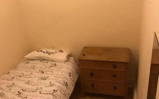 Stylish 3-Bedroom Period Apt Close To City Centre