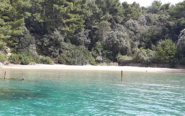 APARTMAN PAVE & ILIJA jr