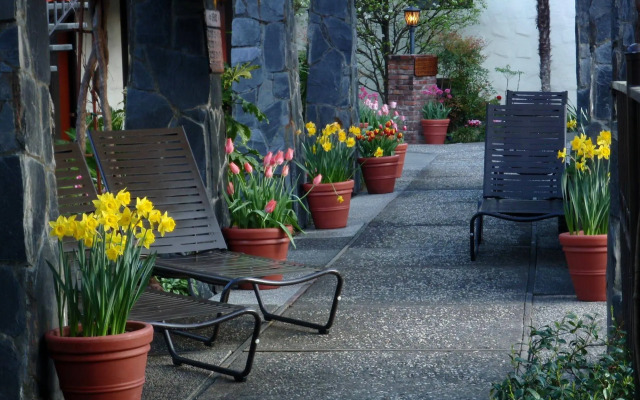 Roman Spa Hot Springs Resort
