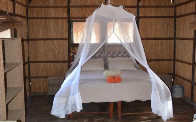 Mango Beach Lodge