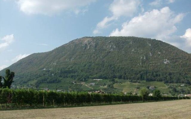 Agriturismo Al Vecchio Portico