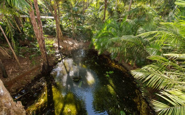Pethers Rainforest Retreat
