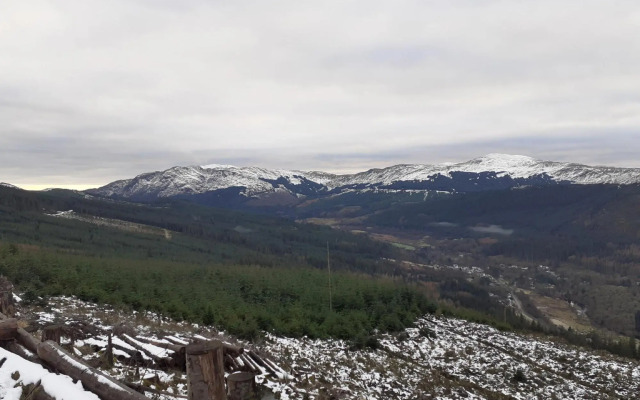 The White Stag