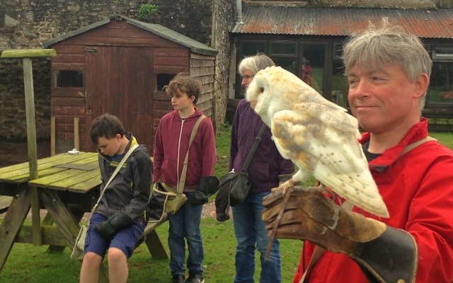 Exmoor Owl & Hawk Centre