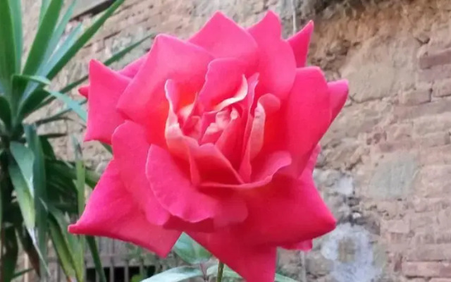 La Mansarda del Sodo