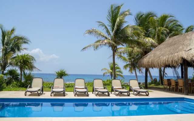 Homing Bird Apartments