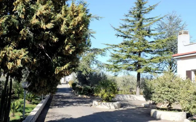 Stella Della Valle DItria