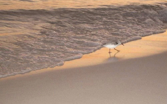 Chateau La Mer 9A Destin