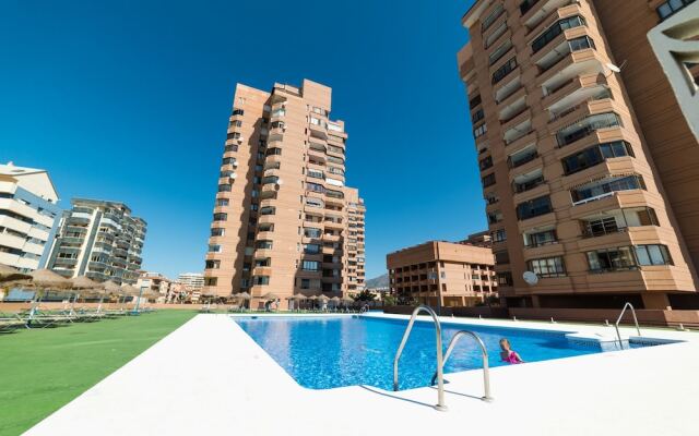 Las palmeras | 6 Pax | First Line | 1446-PAW