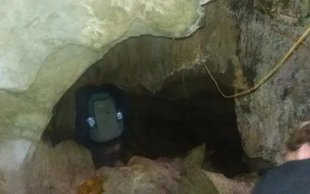 Green Lodge Tangkahan