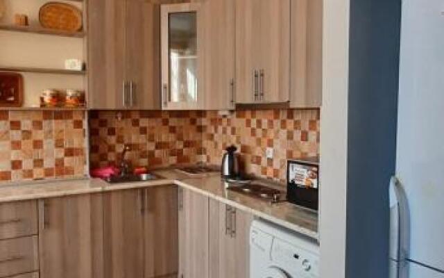 Apartment on Aleksandr Pushkin Street