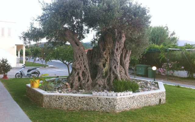 Mediterranean Hotel & Apartments