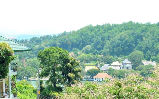 Serene Grand Villa