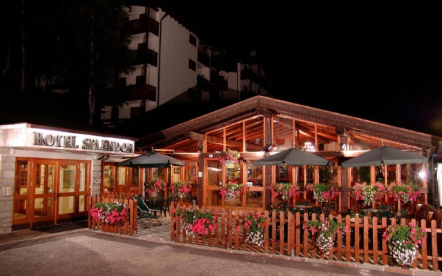 Hotel Splendor