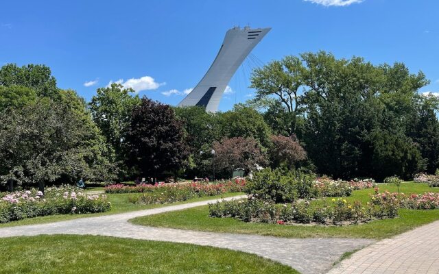 HoMa HomeStay Hotel by Olympic Stadium Montreal (Auberge/Hostel)