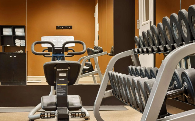 Hilton Garden Inn Houston/Galleria Area