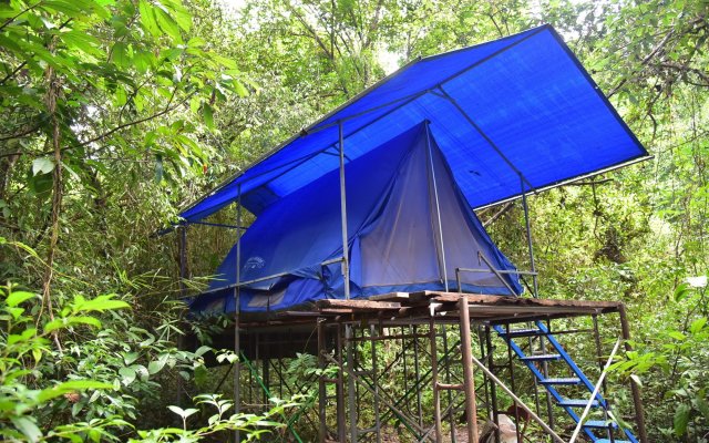Wichai's Jungle Home Stay