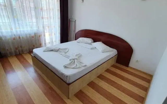 Steluta