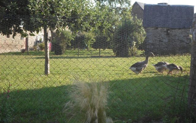 Les Colombes de la Baie du Mont Saint-Michel