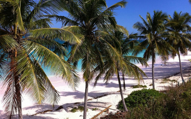 Seven Palms