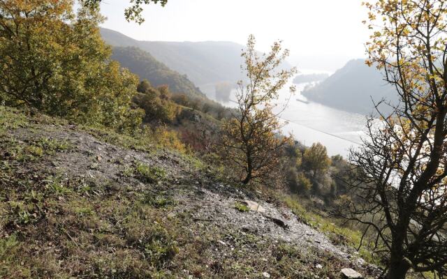 Romantisch wohnen in Kaub am Rhein