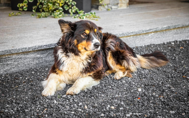Lindbichlhof Urlaub am Bio Bauernhof