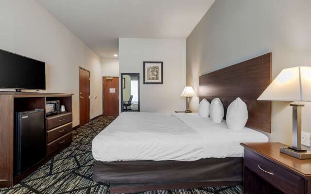 BEST WESTERN PLUS McKinney Inn & Suites