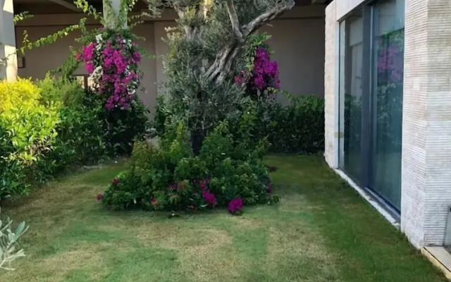 BO071 by Villaofsummer