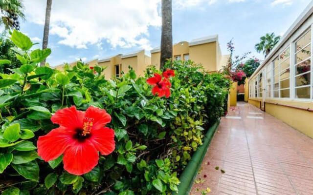 Bungalows Vicksol