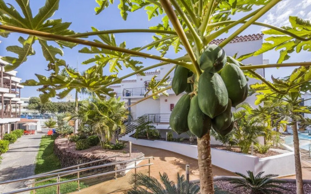 Casas Pepe - Только для взрослых