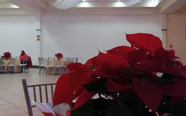 Hotel El Cason and Suites