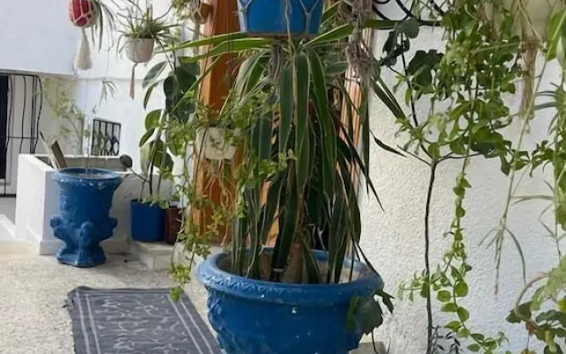 Casa Zitouna- Guest House - Kef, Tunisia