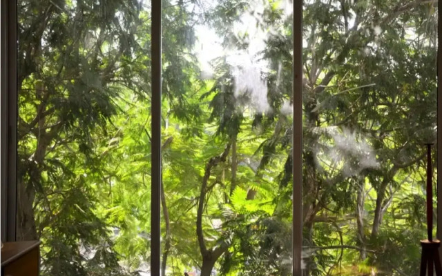 The Sky Imperial Aarivaa Luxury Homestay