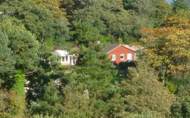 Brambly Wood B&B