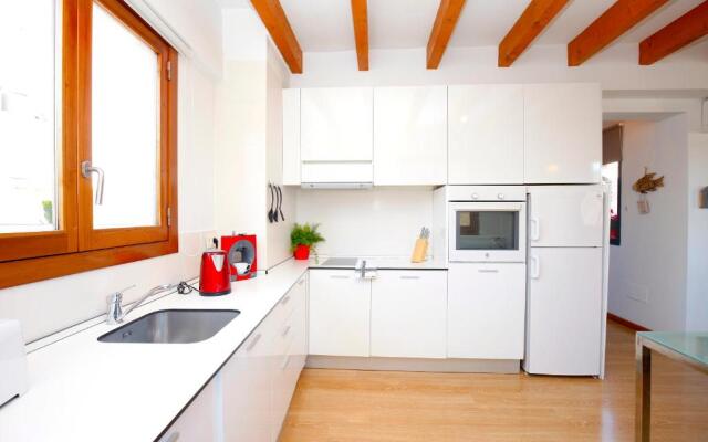 Sant Miquel Homes Penthouse