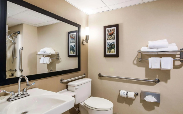 Clarion Pointe Jamestown - Falconer