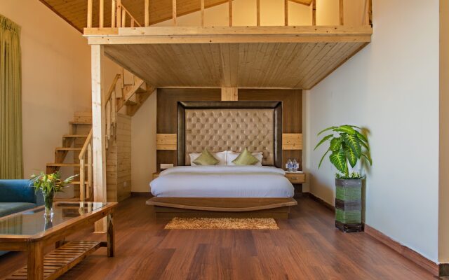 Xenious Micro Vista Elite - Chail