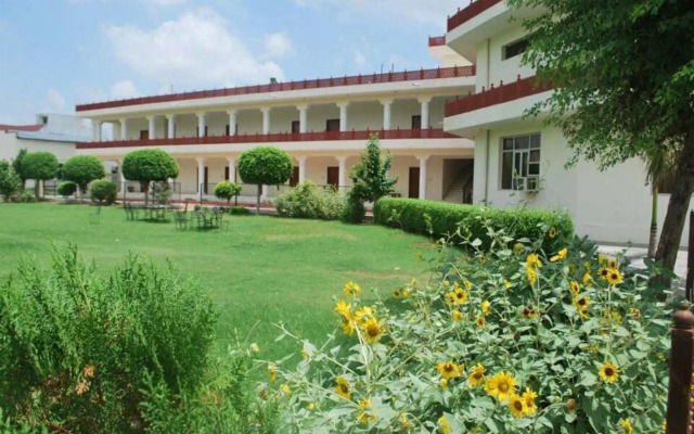 The Park