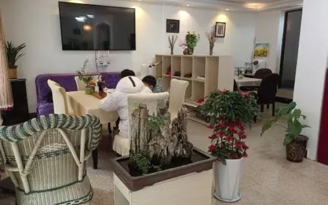 Langzhong Ancient City Villa Inn
