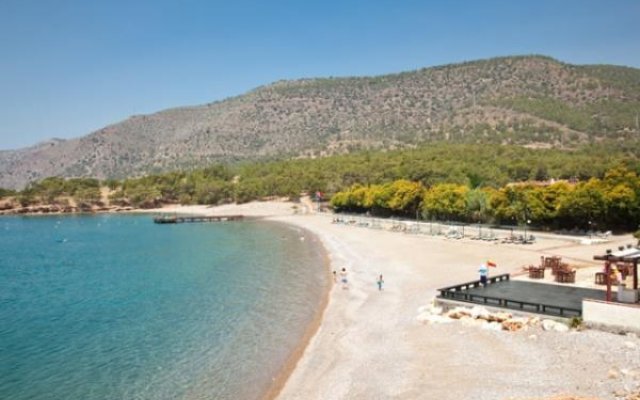Pinepark Holiday Club